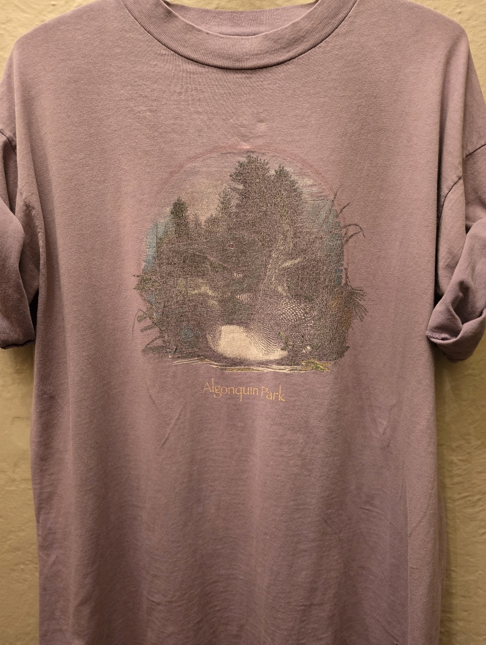 Vintage Distressed Algonquin Park Tee Faded Grunge Nature Shirt Oversized L - Picture 4 of 11